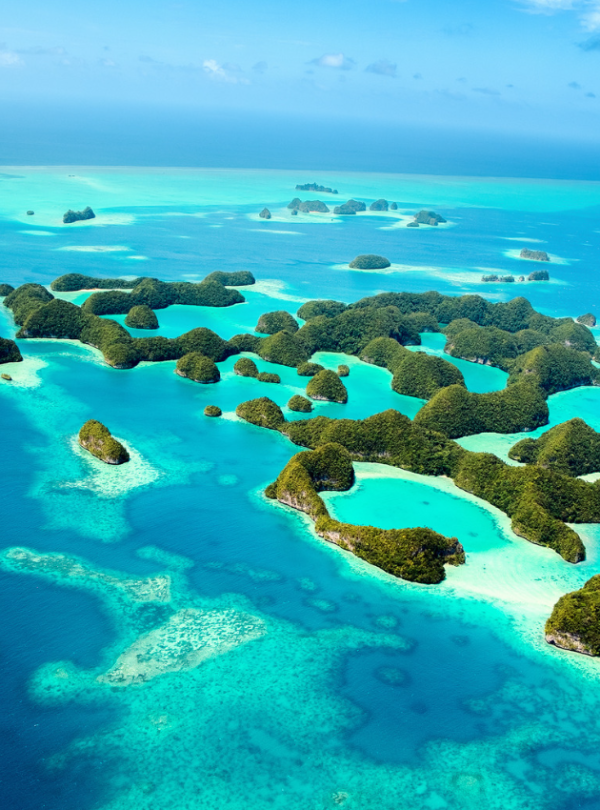 Palau banner